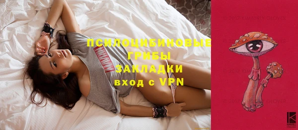 соль ск Алзамай